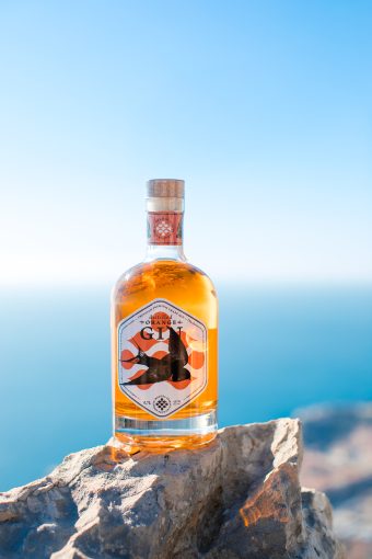 Destilirani orange gin 0,7 L (alc.vol. 43,7%) - Ragusa spirits